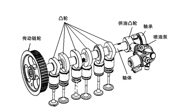 凸輪軸結(jié)構(gòu)圖-柴油發(fā)電機(jī)組.png