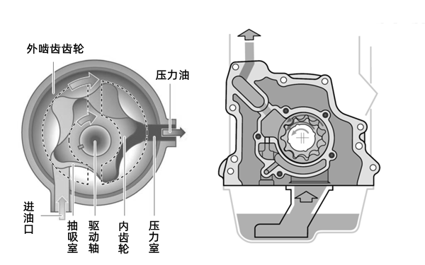 機油泵結(jié)構(gòu)剖面圖-柴油發(fā)電機組.png