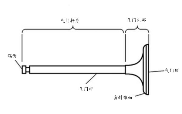 氣門的構(gòu)造.png