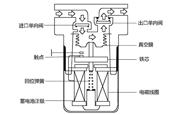 波紋管式電動燃油泵結構圖.png